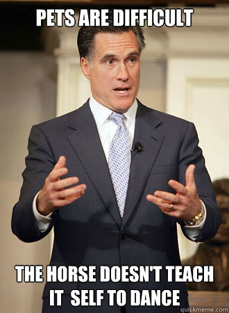 Pets are difficult The horse doesn't teach it  self to dance  Relatable Romney
