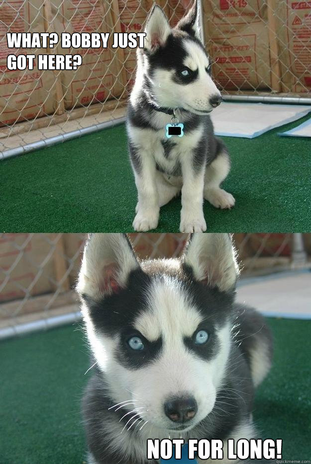 What? Bobby just got here? Not for long!  Insanity puppy