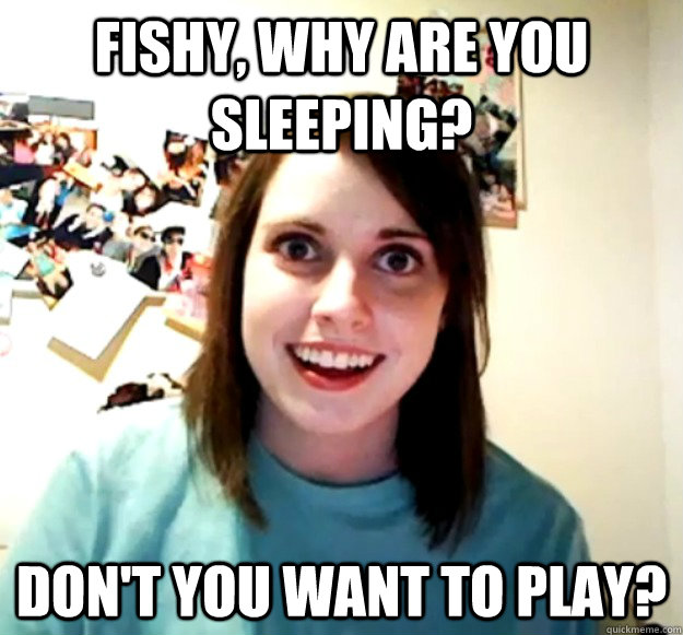 FISHY, WHY ARE YOU SLEEPING? DON'T YOU WANT TO PLAY?  Overly Attached Girlfriend