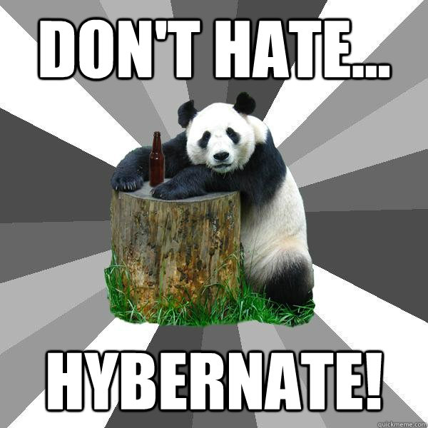 Don't Hate... Hybernate!  Pickup-Line Panda