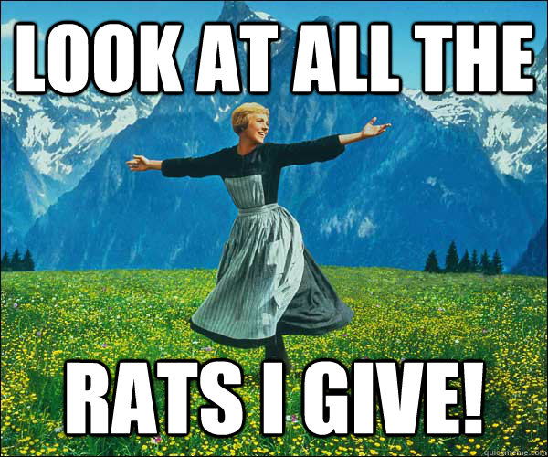look at all the Rats i Give!  Look At All The Fucks I Give