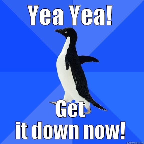 YEA YEA! GET IT DOWN NOW! Socially Awkward Penguin