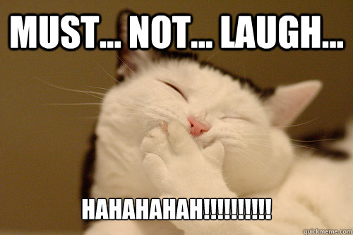 Must... Not... Laugh... HAHAHAHAH!!!!!!!!!! - Must... Not... Laugh... HAHAHAHAH!!!!!!!!!!  Kittehherpderp