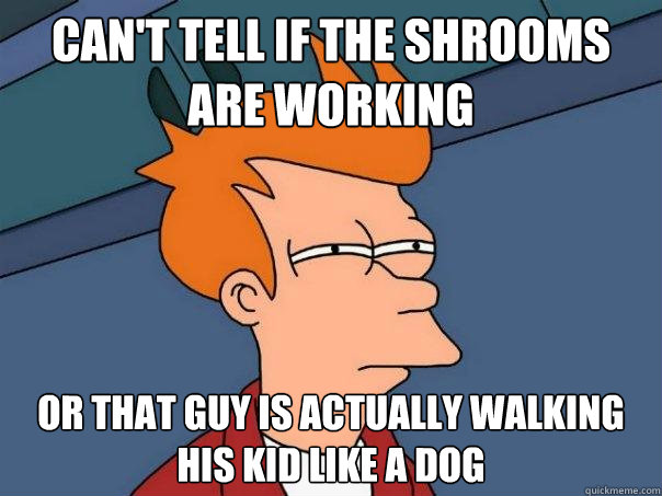 can't tell if the shrooms are working or that guy is actually walking his kid like a dog  Futurama Fry
