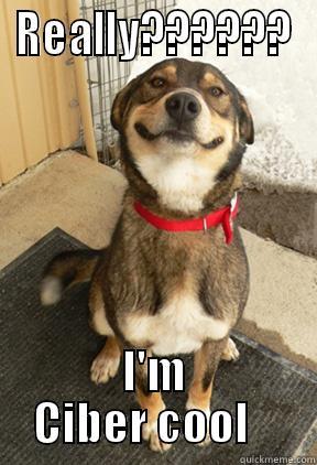 REALLY?????? I'M CIBER COOL    Good Dog Greg
