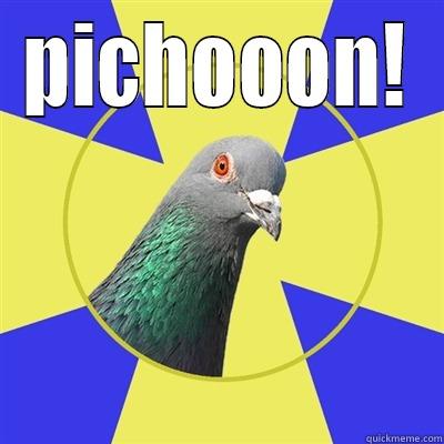 galle pichon - PICHOOON!  Religion Pigeon
