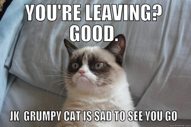 YOU'RE LEAVING? GOOD. JK  GRUMPY CAT IS SAD TO SEE YOU GO  Grumpy Cat