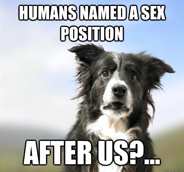 Humans named a sex position after us?... - Humans named a sex position after us?...  Misc