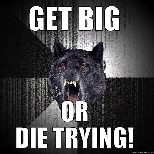 GET BIG OR DIE TRYING! Insanity Wolf