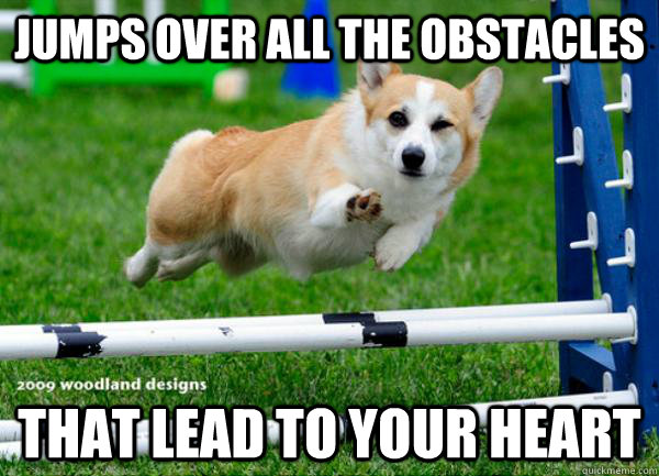 Jumps over all the obstacles That lead to your heart - Jumps over all the obstacles That lead to your heart  Misc