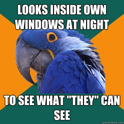 looks inside own windows at night to see what 