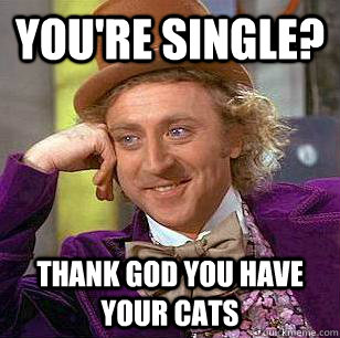 You're single? Thank god you have your cats  Condescending Wonka