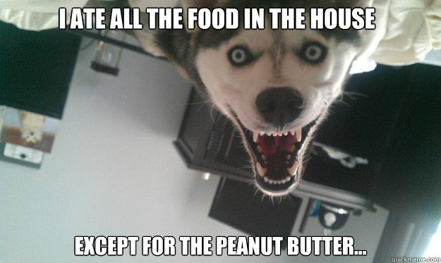 I ate all the food in the house Except for the peanut butter...  Overly Attached Dog