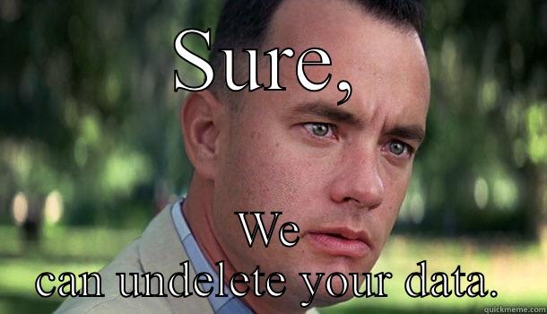 Absolutely  - SURE, WE CAN UNDELETE YOUR DATA. Offensive Forrest Gump