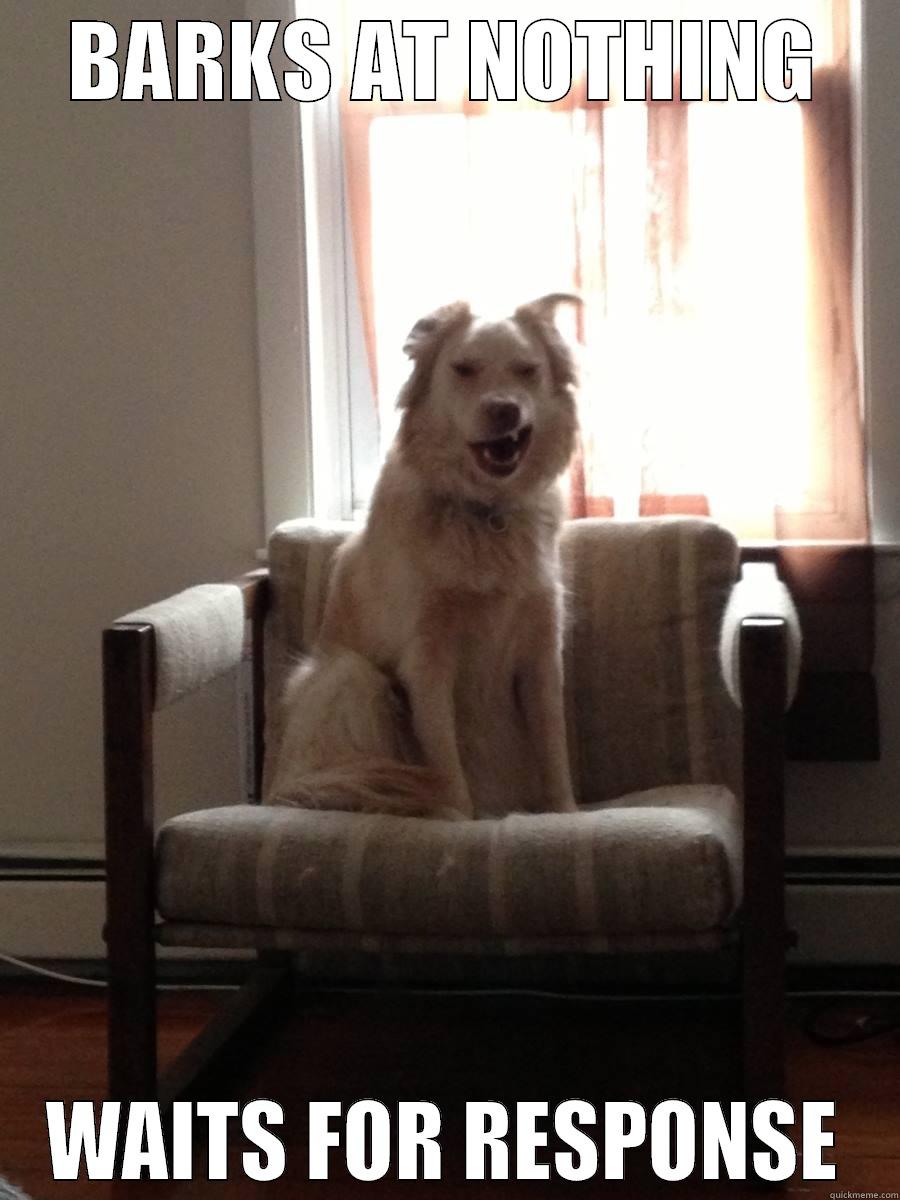 BARKS AT NOTHING WAITS FOR RESPONSE Misc