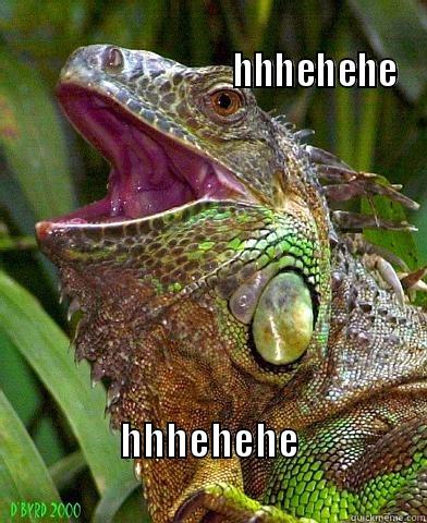                                                                                       HHHEHEHE HHHEHEHE                                  Misc