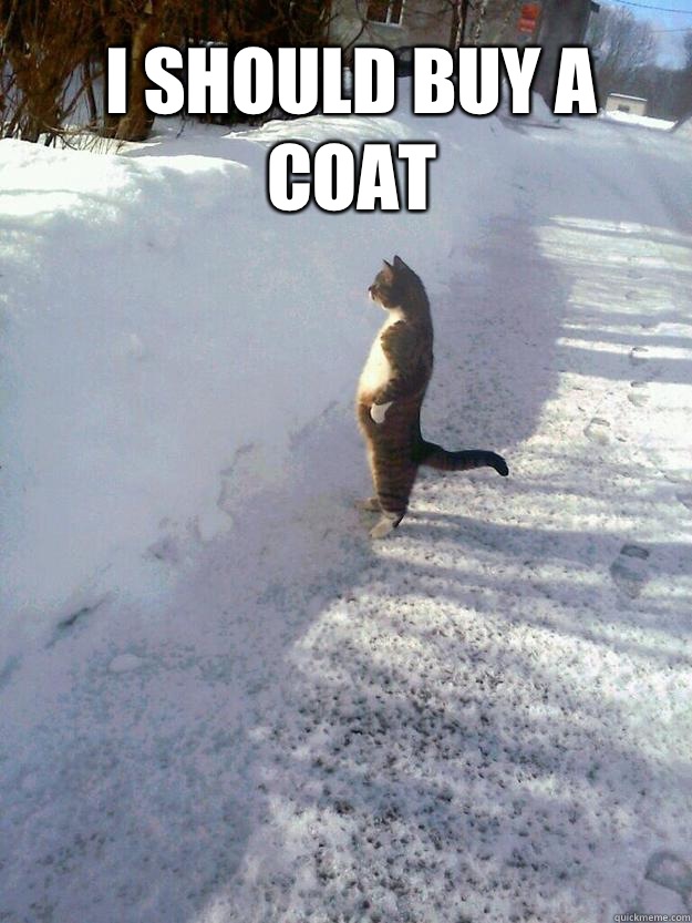 I should buy a coat  - I should buy a coat   CatSnowbank