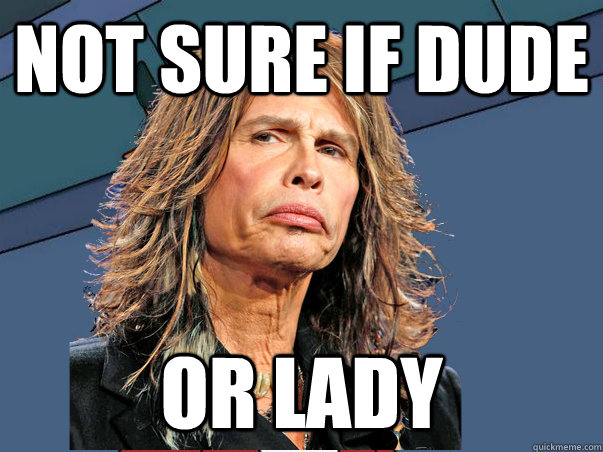 NOT SURE IF DUDE OR LADY - NOT SURE IF DUDE OR LADY  Aerosmith Fry