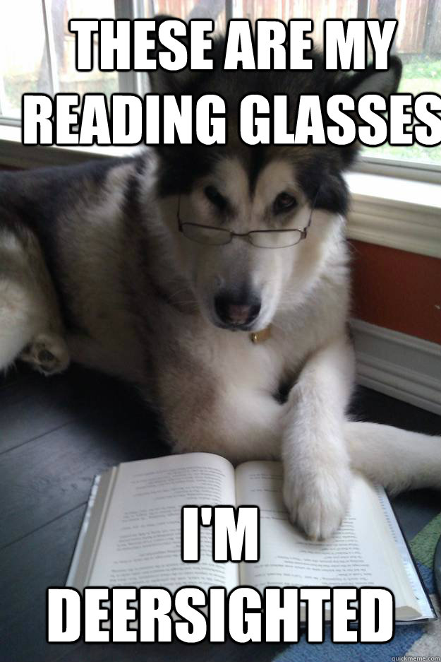 these are my reading glasses i'm deersighted - these are my reading glasses i'm deersighted  Condescending Literary Pun Dog