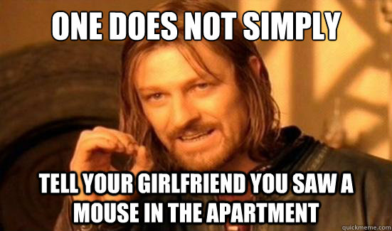 One Does Not Simply tell your girlfriend you saw a mouse in the apartment  Boromir