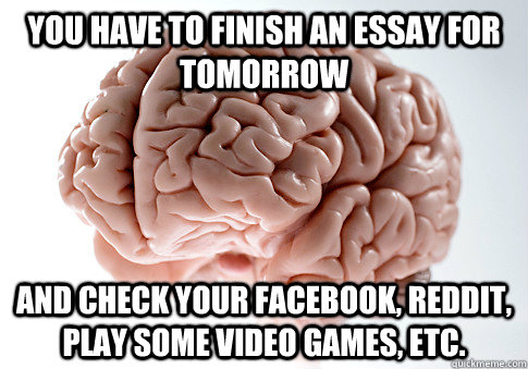 you have to finish an essay for tomorrow  and check your Facebook, Reddit, play some video games, etc.  Scumbag Brain