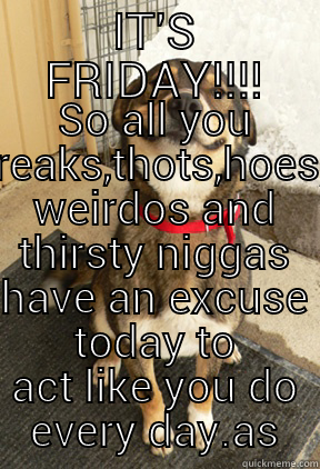IT'S FRIDAY!!!! SO ALL YOU FREAKS,THOTS,HOES, WEIRDOS AND THIRSTY NIGGAS HAVE AN EXCUSE TODAY TO ACT LIKE YOU DO EVERY DAY.AS Good Dog Greg
