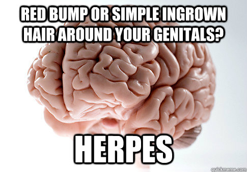 red bump or simple ingrown hair around your genitals? Herpes   Scumbag Brain