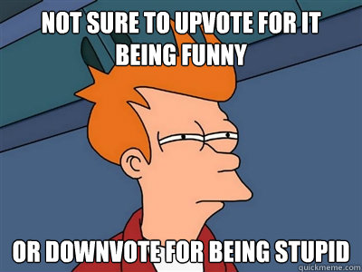 Not sure to upvote for it being funny or downvote for being stupid  Fry meme