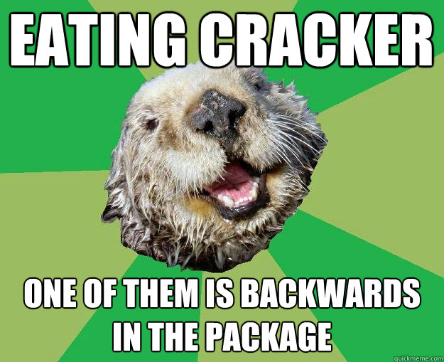 Eating cracker One of them is backwards in the package  OCD Otter