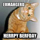 Ermahgerd Herrpy Berfday - Ermahgerd Herrpy Berfday  Birthday cat