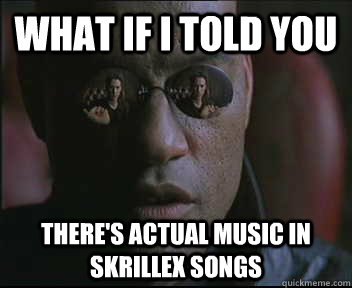 What if I told you There's actual music in Skrillex songs  Morpheus SC
