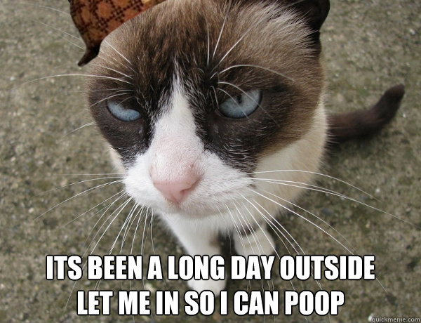 Its been a long day outside
let me in so i can poop  Scumbag Cat