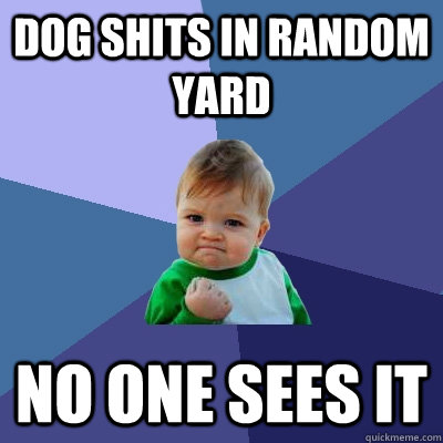 Dog shits in random yard no one sees it  Success Kid