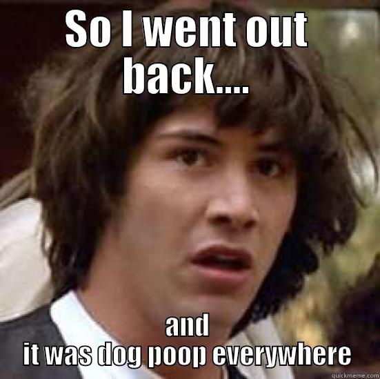 Give it a catchy title. Be creative! - SO I WENT OUT BACK.... AND IT WAS DOG POOP EVERYWHERE conspiracy keanu