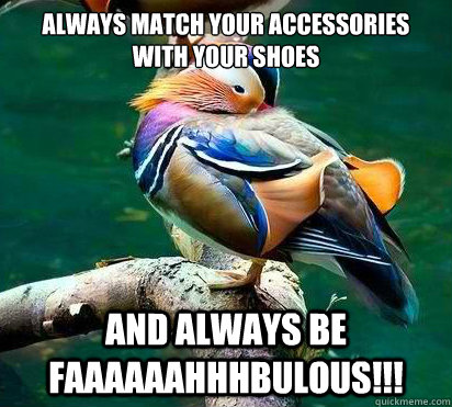 Always match your accessories with your shoes and always be FAaaaaahhhBuLOUS!!! - Always match your accessories with your shoes and always be FAaaaaahhhBuLOUS!!!  Fashion Advice Mandarin Duck