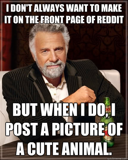 I don't always want to make it on the front page of Reddit But when I do, I post a picture of a cute animal.  The Most Interesting Man In The World