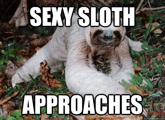 SEXY SLOTH APPROACHES - SEXY SLOTH APPROACHES  Misc