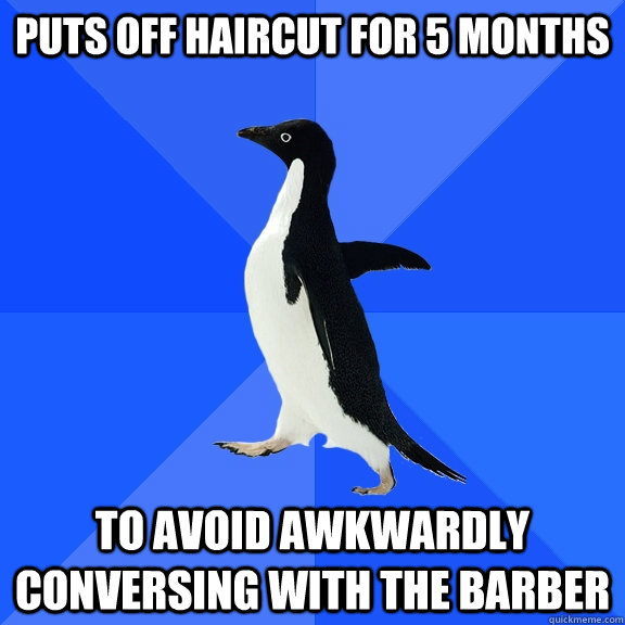puts off haircut for 5 months To avoid awkwardly conversing with the barber  Socially Awkward Penguin