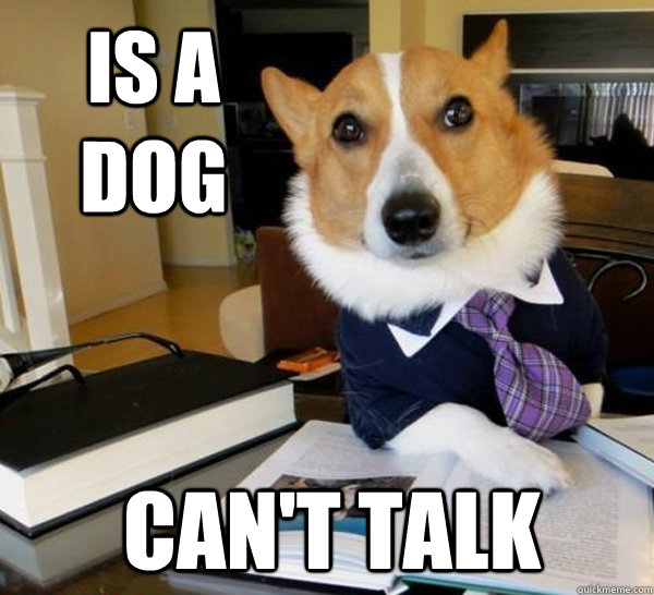 Is a dog can't talk  Lawyer Dog