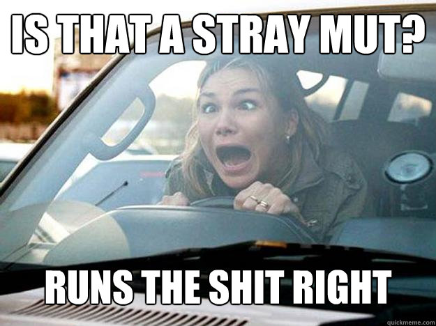 is that a stray mut?
 runs the shit right over it - is that a stray mut?
 runs the shit right over it  Mayhem Female Driver