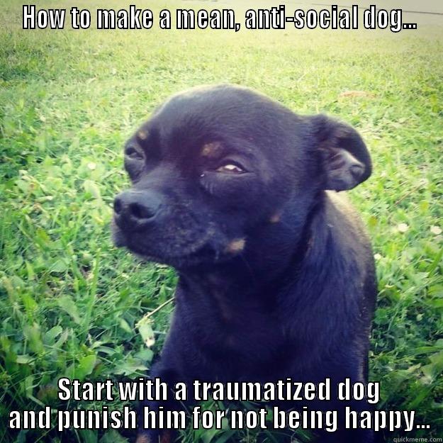 HOW TO MAKE A MEAN, ANTI-SOCIAL DOG... START WITH A TRAUMATIZED DOG AND PUNISH HIM FOR NOT BEING HAPPY... Skeptical Dog