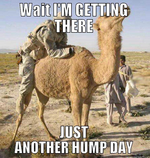 WAIT I'M GETTING THERE JUST ANOTHER HUMP DAY Misc