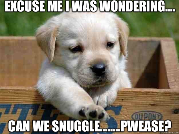 excuse me i was wondering.... Can we snuggle........pwease?  Cuddle