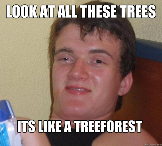 look at all these trees its like a treeforest   10 Guy