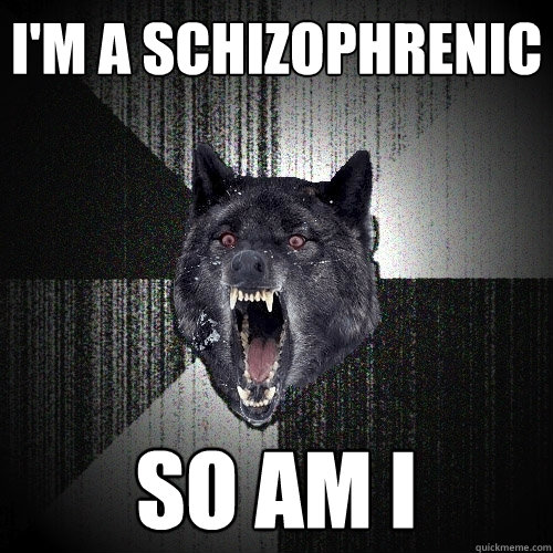 I'm a Schizophrenic So am i  Insanity Wolf