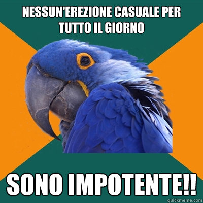 Nessun'erezione casuale per tutto il giorno sono impotente!!  Paranoid Parrot