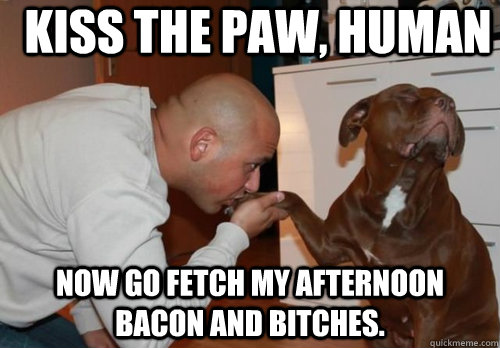 Kiss The Paw, Human Now go fetch my afternoon bacon and bitches.   