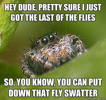 Hey dude, pretty sure I just got the last of the flies so, you know, you can put down that fly swatter - Hey dude, pretty sure I just got the last of the flies so, you know, you can put down that fly swatter  Misunderstood Spider