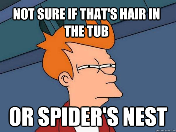 Not sure if that's hair in the tub or spider's nest  Futurama Fry