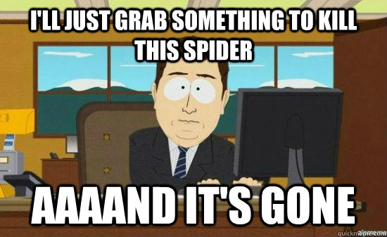 I'll just grab something to kill this spider aaaand it's gone - I'll just grab something to kill this spider aaaand it's gone  Misc